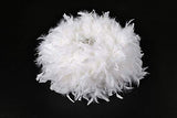 Waneway Pendentif abat-jour à plumes blanches pour plafond, abat-jour non électrique avec bague de réduction d'ombre pour salle de séjour, salle à manger 30 cm