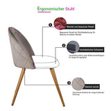 OFCASA Lot de 2 Chaises de Salle à Manger de Velours Chaise de Cuisine rembourrée en Tissu Chaise avec Jambes en Métal Chaise Lot de 2 chaises gris