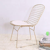 QIAOJUNJUN Nordic créatif ajouré Chaise en Fil de Fer barbelé Personnalité Simple Fer forgé Restaurant Restaurant Chaise de Bureau Ordinateur doré Coussin Chaise