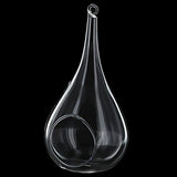 Vase Suspendu en Verre Transparent Conique pour Plantes Fleurs Décoration de Jardin Maison