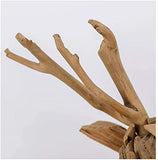 Bois flotté personnalisé simple animal tête de cerf Statue décoration artisanat naturel décontracté léger traitement abstrait adapté à la maison salon bibliothèque bureau porche décoration cadeau, B
