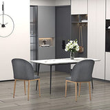 HOMCOM Lot de 2 chaises de Salle à Manger Chaise de Salon Pieds en métal Imitation Bois 50 x 58 x 85 cm Gris