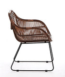 Chaise longue Animal-design - En rotin - Robuste - Avec accoudoir - Pour balcon, terrasse
