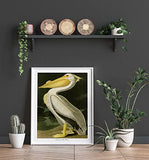 American White Pelican by John Audubon Bird Poster Bird Print Bird Decor Wildlife Kitchen Print Wildlife Illustration Pelican Print (40cm x 50cm)