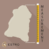 ESTRO | Authentique Tapis en Peau ou en Fourrure de Mouton ISLANDAIS | Brillant et Luxueux | Variété de Couleur ESI (Wolf Tip, 100 cm)
