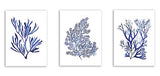 KAnduo Indigo bleu algues toile affiches et impressions corail aquarelle peinture salon mur Art décoratif photos salle de bain décor pas de cadre