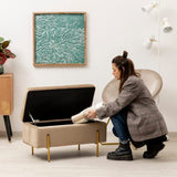 Baroni Home Home Coffre Pliant, Banc de Rangement, Pouf Repose-Pieds Velours Couleur Mesures 80X40X40 cm, Taupe
