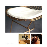XINGPING-Furniture Chaise Creuse créative de Grillage, Chaise d'ordinateur Respirante de Fil d'acier, Chaise extérieure de Dossier, Chaise de Diamant de Diamant, Chaise dinante de Fer