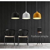 ZAQXSW Lustre industriel Black Wind Loft Nordic restaurant Retro Bar Fer Art Matte restaurant Lamp Loft Shade Cuisine Café Lustres (Size : Style C)