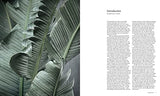 A New Leaf: Curated Homes Where Houseplants Meet Design