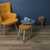 THE HOME DECO FACTORY Lot de 2 Tables Basses Gigognes Rondes Bicolore Bleu Jaune, Bois d'ingénierie, Small 33 x 40 cm-Tall 43 x 48 cm