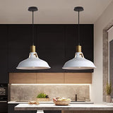 TOKIUS Suspension Lustre Industrielle Vintage Luminaire Plafonnier E27 Salon Abat-jour Plafond en Métal Rétro Style Nordique Design Câble Réglable (Blanc, 1pcs)