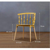 SSZZ Accueil Retour en Plastique Chaise À Manger Designer Café Bureau pour Discuter De Chaises, Simples Et Belles Et Durables,Bleu