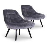 Lot de 2 fauteuils Danios Velours Gris