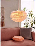 1yess Plume de la Lampe Nordique Chambre Natural Ended Moderne Simple Salle à Manger Chambre créative Plume de la Lampe (Couleur : Blanc, Taille : 60 x 60 cm) (Couleur : Blanc)