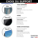 Ceanothe Tableau sur verre synthétique bison 65x97 cm - Impression sur Verre synthétique - Image HD imprimée sur Verre synthétique - Tableau mural décoratif - Fabriqué en France