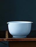 101 Danish Design Icons /anglais