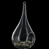 Vase Suspendu en Verre Transparent Conique pour Plantes Fleurs Décoration de Jardin Maison