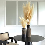 OPJET Chaise, Rotin, Noir, Midi