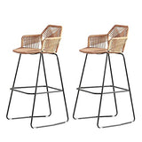 HPTK Tabouret De Bar, Lot De 2, Tabouret De Bar en Rotin Tissé À La Main, Chaise De Comptoir avec Dossier, Tabourets De Salle À Manger pour Le Petit-déjeuner, pour Piscine/Café/Cuisine