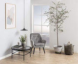 AC Design Furniture Henry Table Basse, Verre, Gris, 80 x H: 40 cm