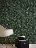 A.S. Création papier peint intissé Greenery papier peint effet jungle papier peint oiseau 10,05 m x 0,53 m vert noir 372101 37210-1