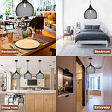 RWNTAOZM Hanging Cage Pendant Light - Φ28CM (11in), E27 40W, Noir Métal Mesh Suspension Luminaire en maille métallique plafonnier pour Restaurant Salon Chambre Cuisine Bar