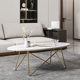 FirFurd Table Basse de Salon Effet Marbré Ovale Table de Canapé Table a Café Bas en Bois et Métal Piédestal Table d'Appoint Nordique Scandinave 120x60x41cm