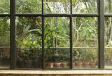 Scenolia Papier Peint Intissé Jardin et Patio Tropical 4 x 2,70m - Décoration Murale Effet Trompe l'Oeil - Revêtement Panoramique Tapisserie XXL - Pose Facile et Qualité HD