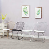 Chaise Nordique ajourée Chaise en Treillis métallique Dossier en Fer forgé créatif Chaise Simple Coiffeuse Banquet Occasionnel dinant la Chaise hôtel Salle à Manger (Color : Black)