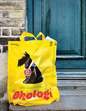 101 Danish Design Icons /anglais