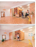 Modular Loft: Creating Flexible-Use Living Environments That Optimize the Space
