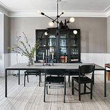 LynPon Sputnik Lustre Industriel Noir Suspension Luminaire Vintage Plafonnier 6 Lumières pour Chambre Cuisine Loft Couloir Salle À Manger Salon Café