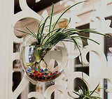 Cosanter Transparent Pots de Fleur en Acrylique Créatif Pots à Suspendre Multifonctions Aquarium pour Plantes Fleurs Poisson