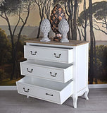 Nostalgie Commode Vintage Armoire Style Maison de Campagne Commode à tiroirs Palazzo en exclusivité