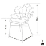 PACIFIC linea Fauteuil LOIC - Rotin/Métal