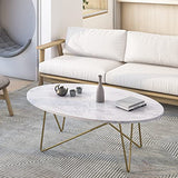 FirFurd Table Basse de Salon Effet Marbré Ovale Table de Canapé Table a Café Bas en Bois et Métal Piédestal Table d'Appoint Nordique Scandinave 120x60x41cm