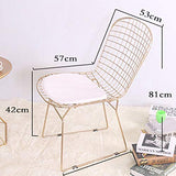 QIAOJUNJUN Nordic créatif ajouré Chaise en Fil de Fer barbelé Personnalité Simple Fer forgé Restaurant Restaurant Chaise de Bureau Ordinateur doré Coussin Chaise