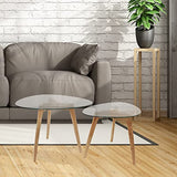HOME DECO FACTORY HD3212 Tables Gigognes Verre Trempe Transparent Resistant Galet Bois Deco Moderne Salon, 60 x 45 x 43 cm
