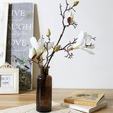 Outflower Vase cylindrique en Verre Transparent Décoratif et Moderne pour Fleurs 22 x 7,5 cm 22 * 7.5cm Bleu Marine