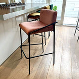 Damiware Lev Tabouret de Bar de qualité supérieure avec Housse en Velours (Velours Rose, 75 cm)