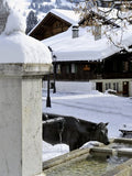 Chalets: Un art de vivre