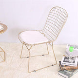 QIAOJUNJUN Nordic créatif ajouré Chaise en Fil de Fer barbelé Personnalité Simple Fer forgé Restaurant Restaurant Chaise de Bureau Ordinateur doré Coussin Chaise