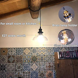 SISVIV Suspension Luminaire Industrielle Vintage Rétro Verre Lustre Lampe Suspendue Edison Culot E27 Éclairage de Plafond pour Cuisine Salle à manger Salon Chambre Restaurant 20CM
