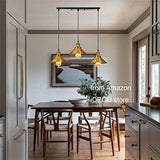 iDEGU Suspension Luminaire Industrielle Lustre Plafonniers Design Edison Métal 3 Lampes Suspension, Ø 220mm (50cm, Laiton / Doré )