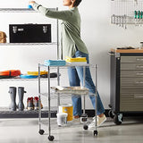 Amazon Basics Étagère 3 niveaux à roulettes, 13.4D x 23.2W x 32.75H cm, Chrome