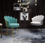 LHY HOME LUHUIYUAN Chaise Scandinave en Velours Pieds De Tabouret en Titane Fauteuil Salle À Manger Salon pour Salon/Chambre/Balcon,Blanc