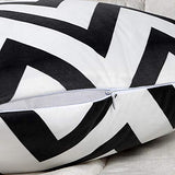 pendali Housses de Coussin, Taies d'oreiller Décoratives en Velours Simplicité Moderne avec Motif Double Face, Lot de 4 Housses de Coussin pour Canapé Chaise de Salon, 45 x 45 cm (Noir)