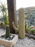 Cactus de Esparto pleita tressée à la main – Figurine de décoration pour tout intérieur ou extérieur, fabriquée en Espagne (145)