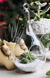Vase Suspendu en Verre Transparent Conique pour Plantes Fleurs Décoration de Jardin Maison